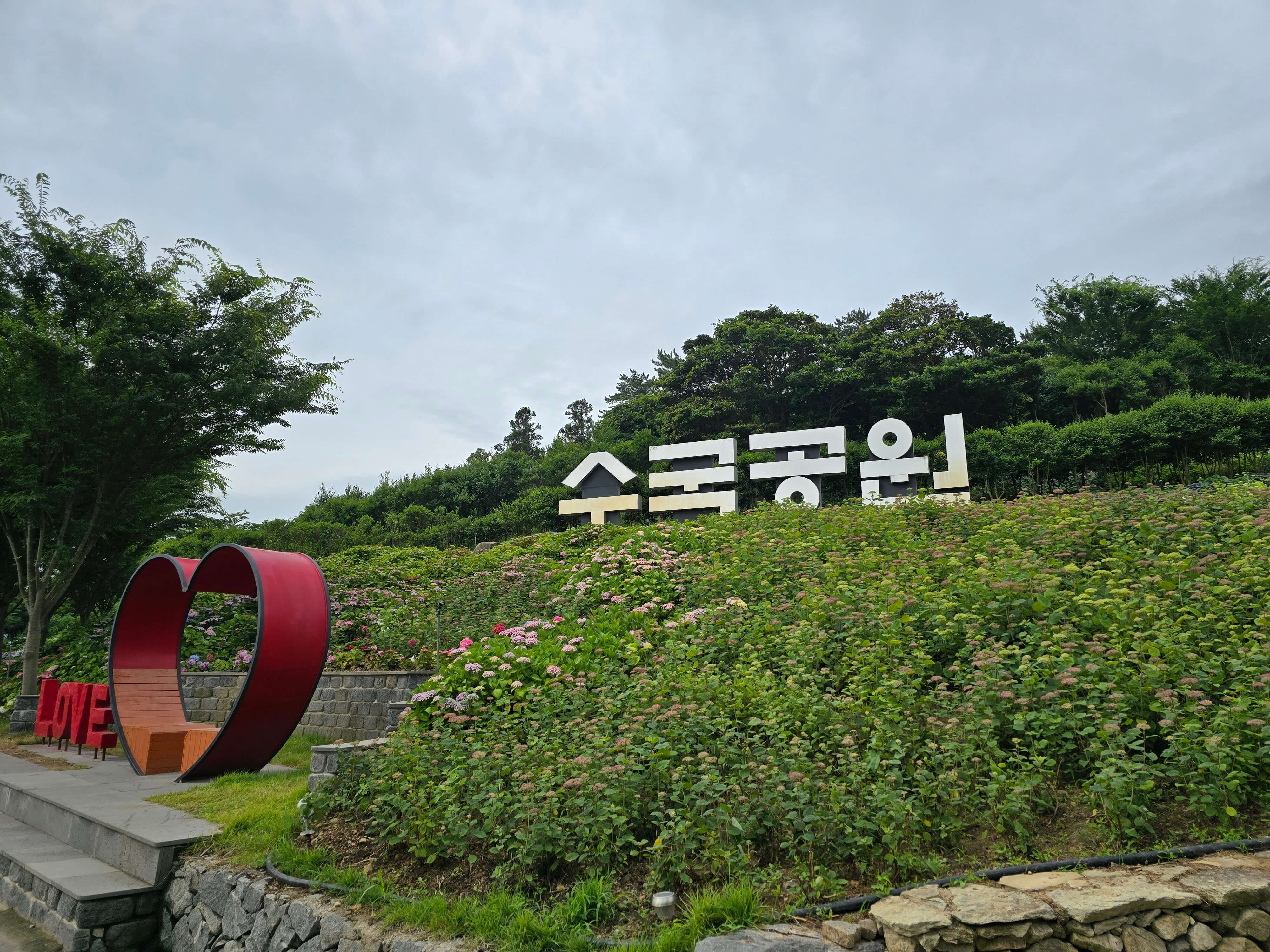 도초도수국공원