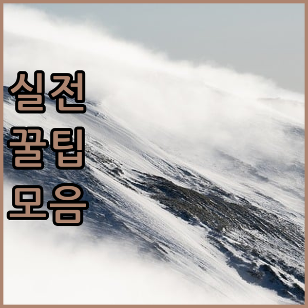올랜도 여행의 숨은 보석 클럽 세비야