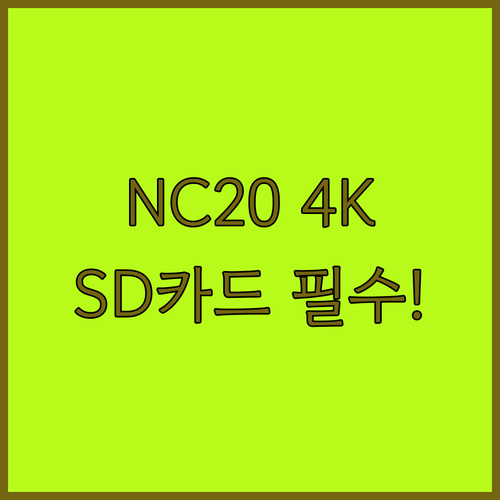 내셔널지오그래픽 NC20 액션캠 4K..
