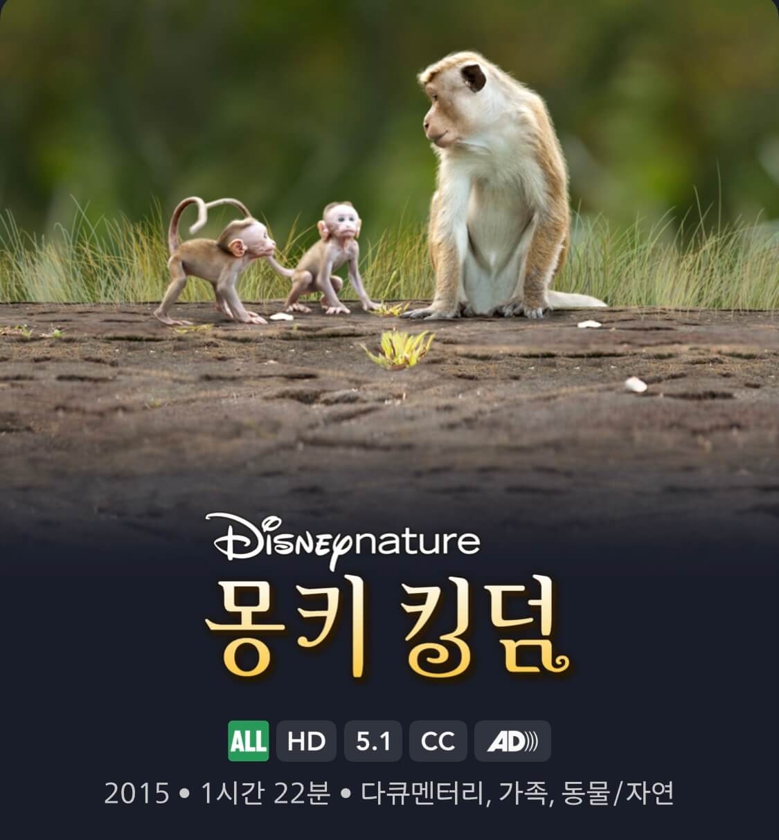 몽키 킹덤