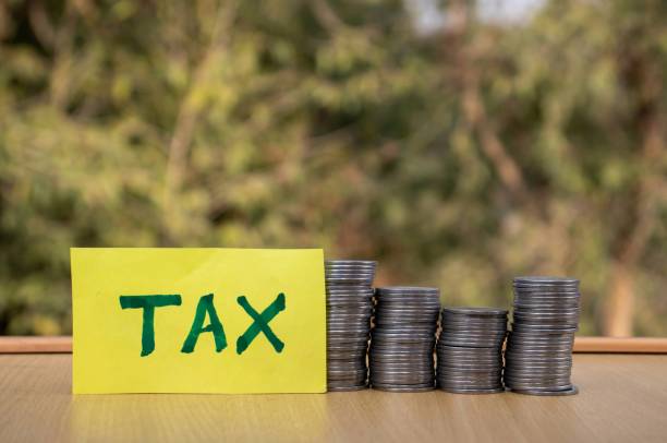 모범 납세자의 정의