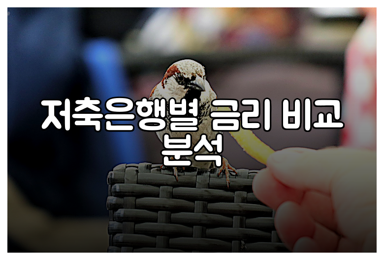 저축은행별 금리 비교 분석