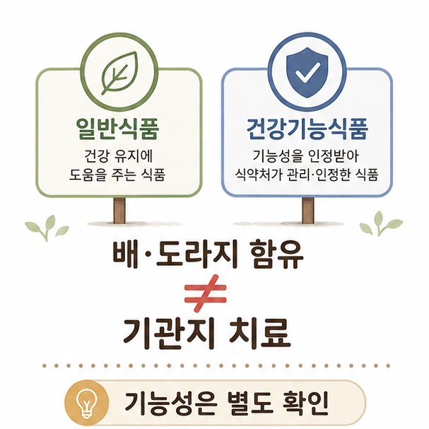 배도라지청은 일반식품일 수 있으며 기관지 치료나 면역력 강화 효과를 단정할 수 없음을 설명한 이미지