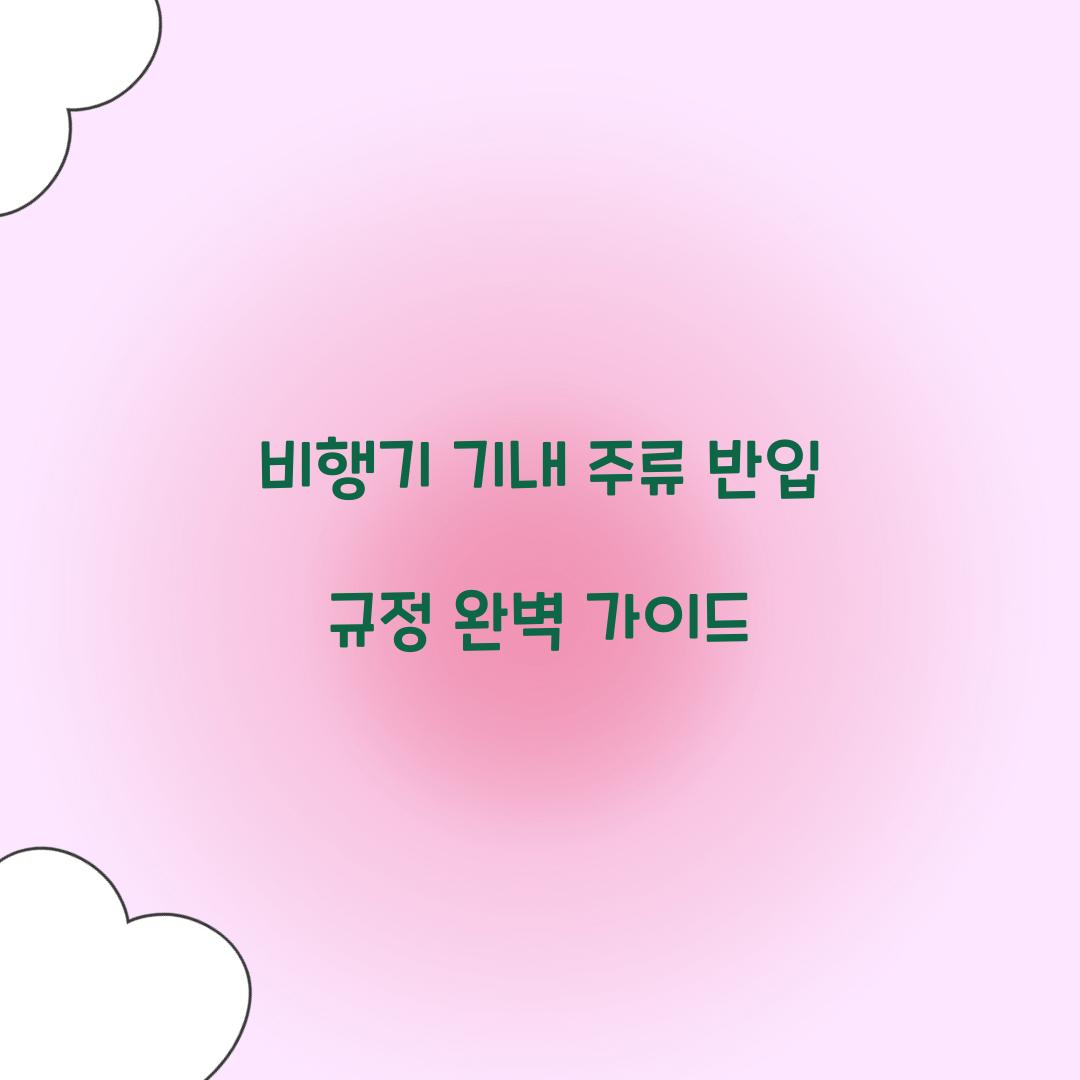 비행기 기내 주류 반입