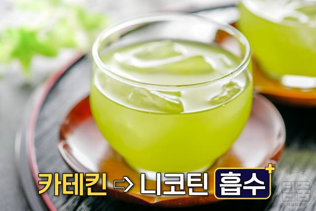 니코틴 배출 음식 녹차 니코틴배출기간