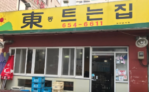 동 트는 집