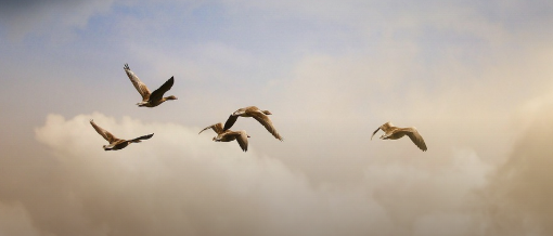 &lsquo;잘 쓰는 글&rsquo;보다 &lsquo;끝까지 읽히는 글&rsquo;이 중요하다고 느낀 이유