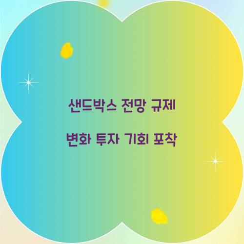 샌드박스 전망