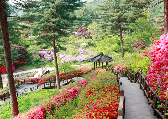 가평 가볼만한 곳