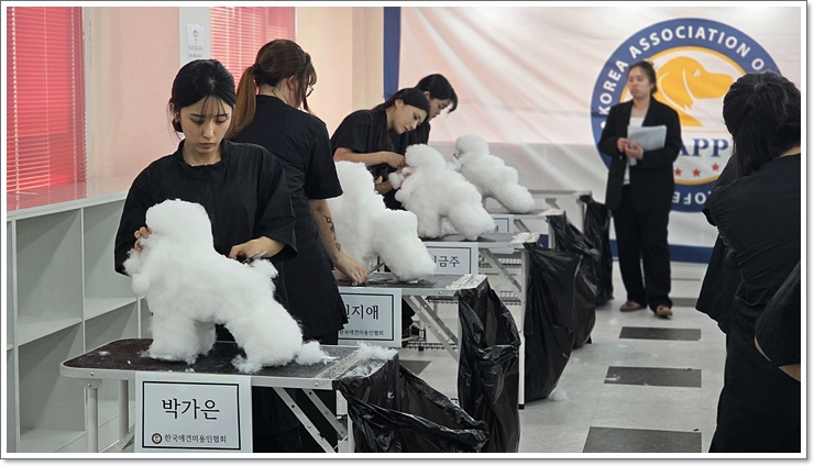 반려동물학과대학추천