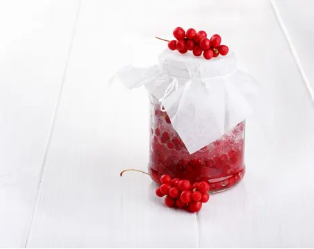 오미자 효능 및 먹는 방법 주의점