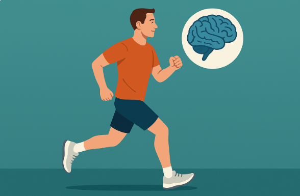 정기적인 운동이 두뇌 기능과 인지력에 미치는 영향 관련 사진