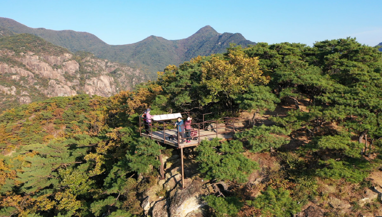 옥순봉 출렁다리
