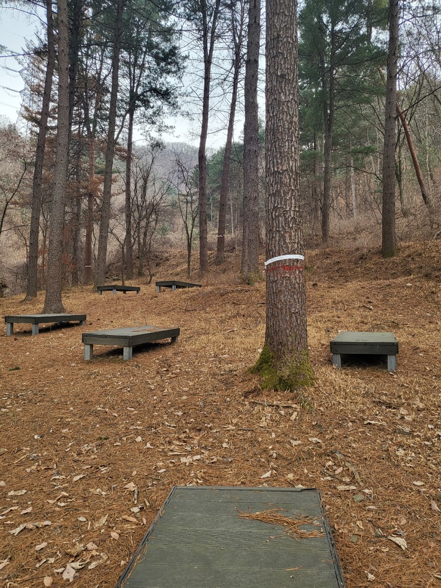 청평자연휴양림