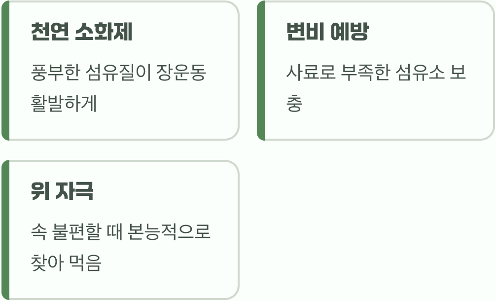 둘째, 속 편한 소화제 한 포기