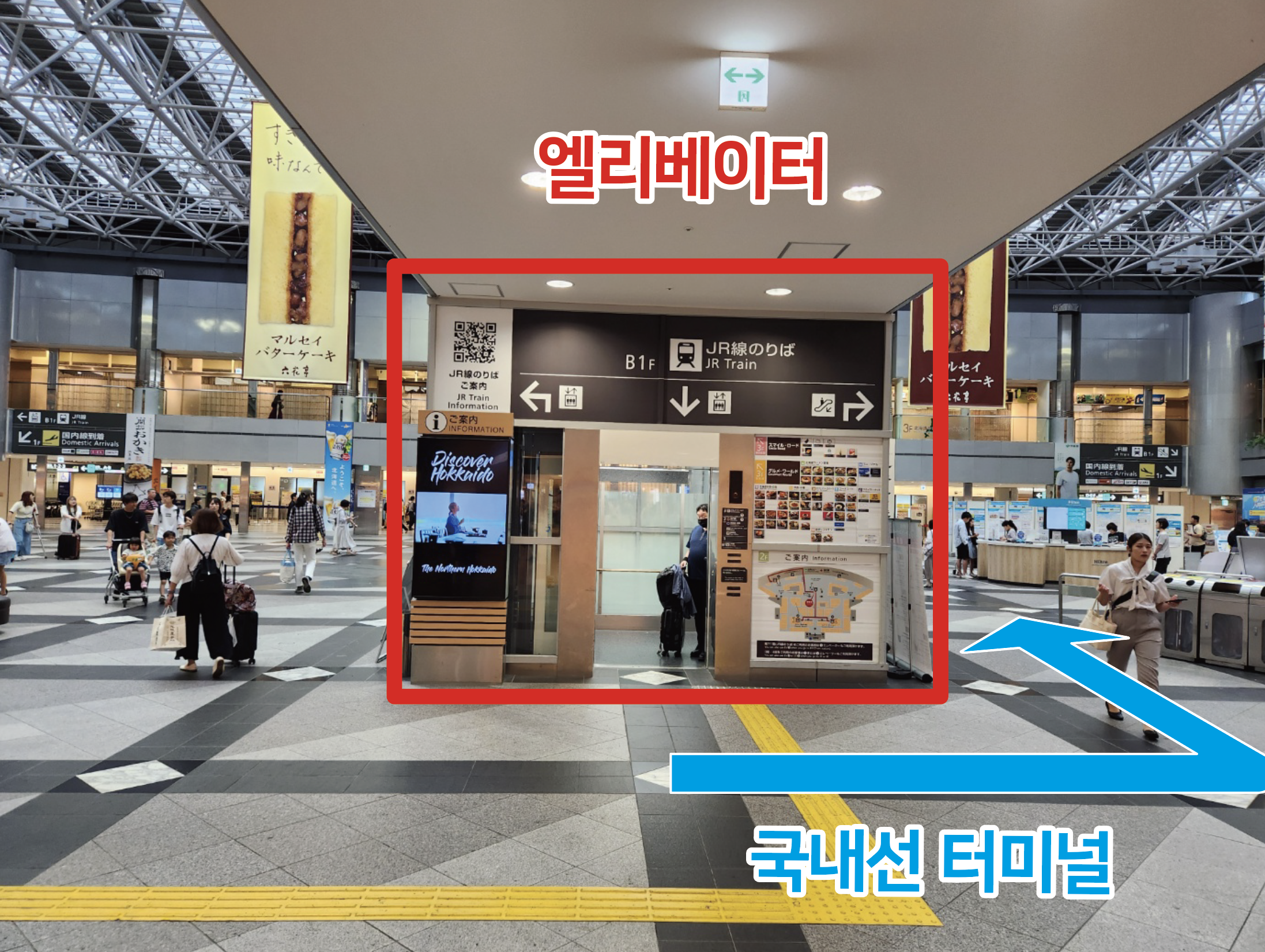 공항버스 - 5
