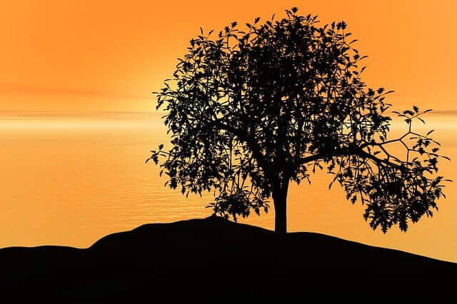 대구 해돋이 명소