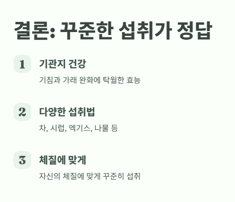 곰보배추 꾸준한 관심과 섭취가 정답!