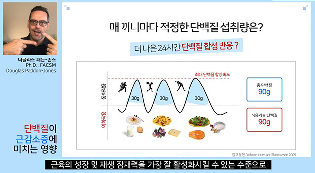 매 끼니마다 적정한 단백질 섭취량 이미지/ 출처 - 헬스조선