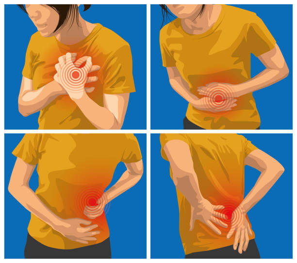 심장마비 전조증상&amp;#44; 원인과 예방하는 방법을 알아봤습니다. 심장은 순환계의 중심 기관으로 심방 및 심실 심장 판막으로 구성됩니다. 인체에 심장은 그 무엇보다 중요한 기관이기 때문에 심장마비 전조증상에 대해 잘 알고 계셔야 합니다. 