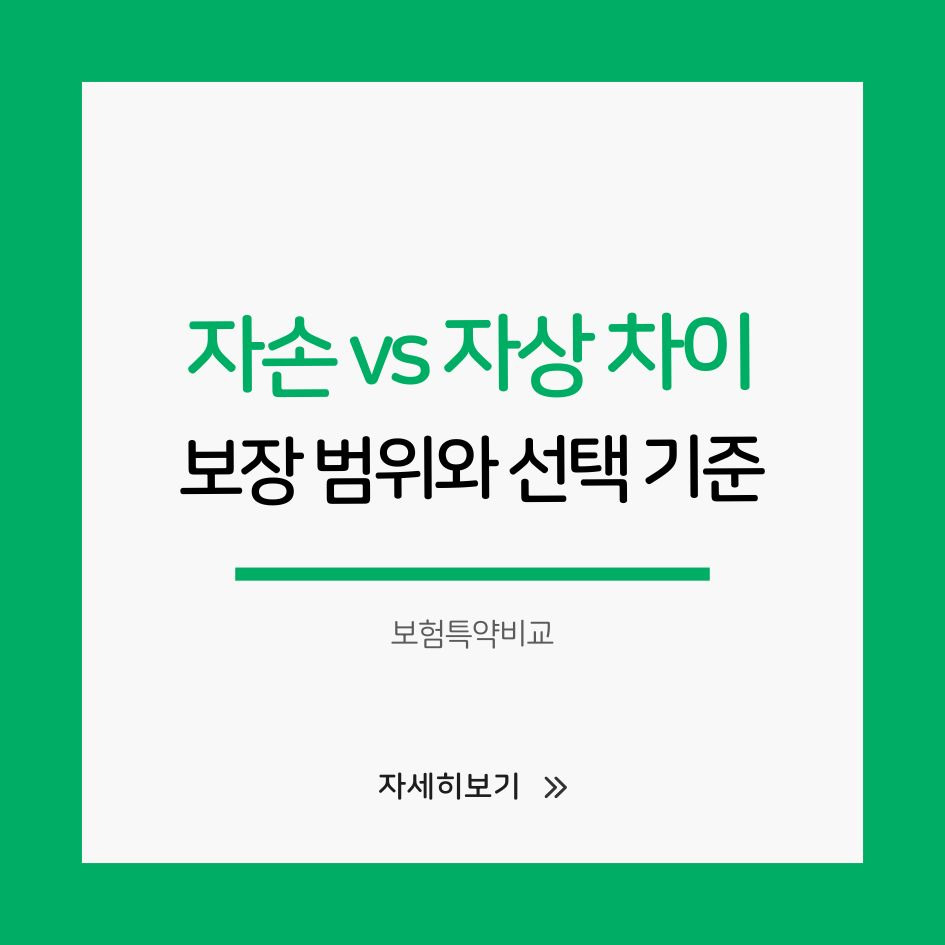 자동차보험 자손과 자상의 보장 범위 차이 설명 이미지