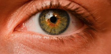 눈에 눈썹 들어갔을 때 빼는 방법(속눈썹 빼기)