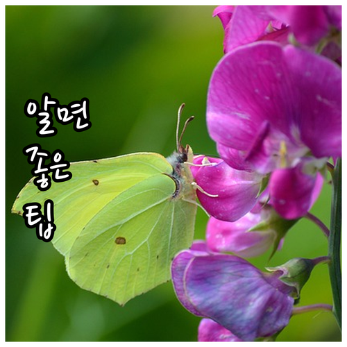 더 이상 고민 끝! 중랑구 대형폐기물..