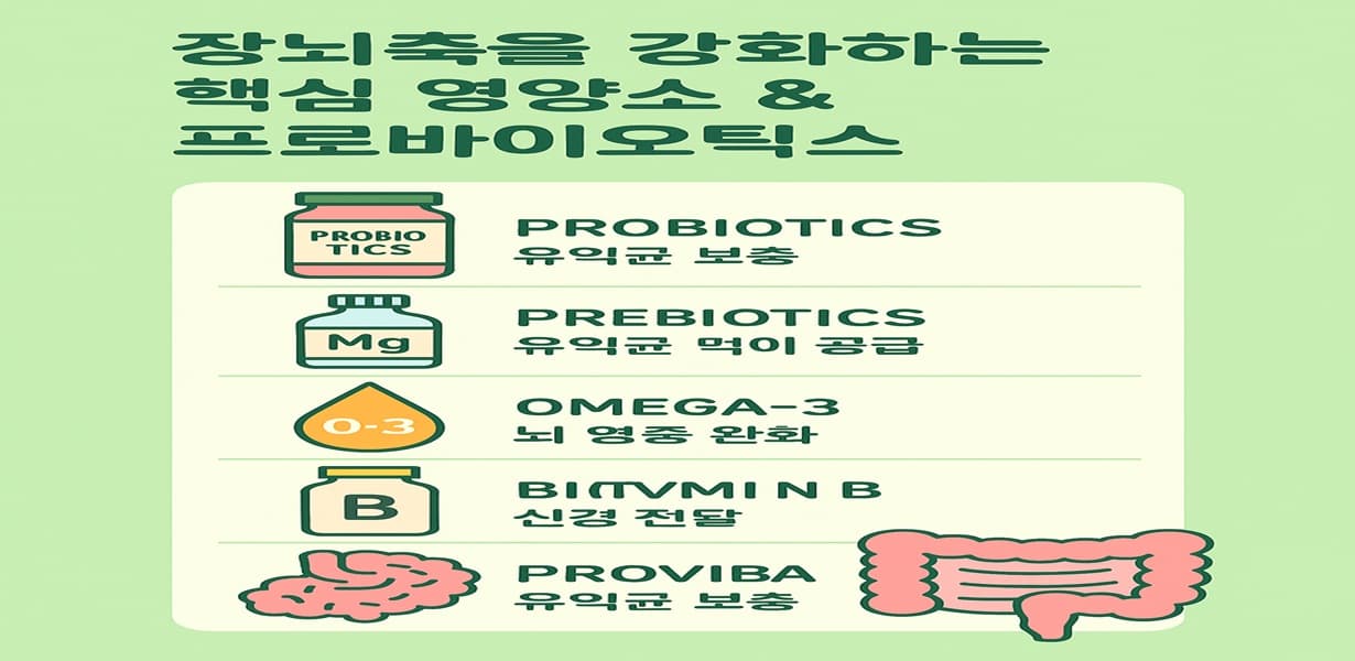 장뇌축을 강화하는 영양소로 프로바이오틱스, 프리바이오틱스, 오메가-3, 비타민 B군을 설명한 인포그래픽