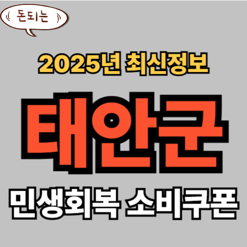 태안군 민생회복 소비쿠폰 신청 완벽 가이드