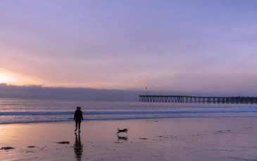 비행기표 싸게 사는법