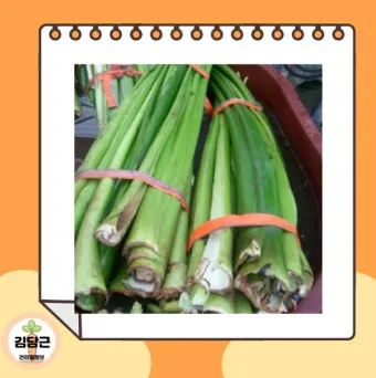 토란대 손질방법 말리는 방법을 정리_27