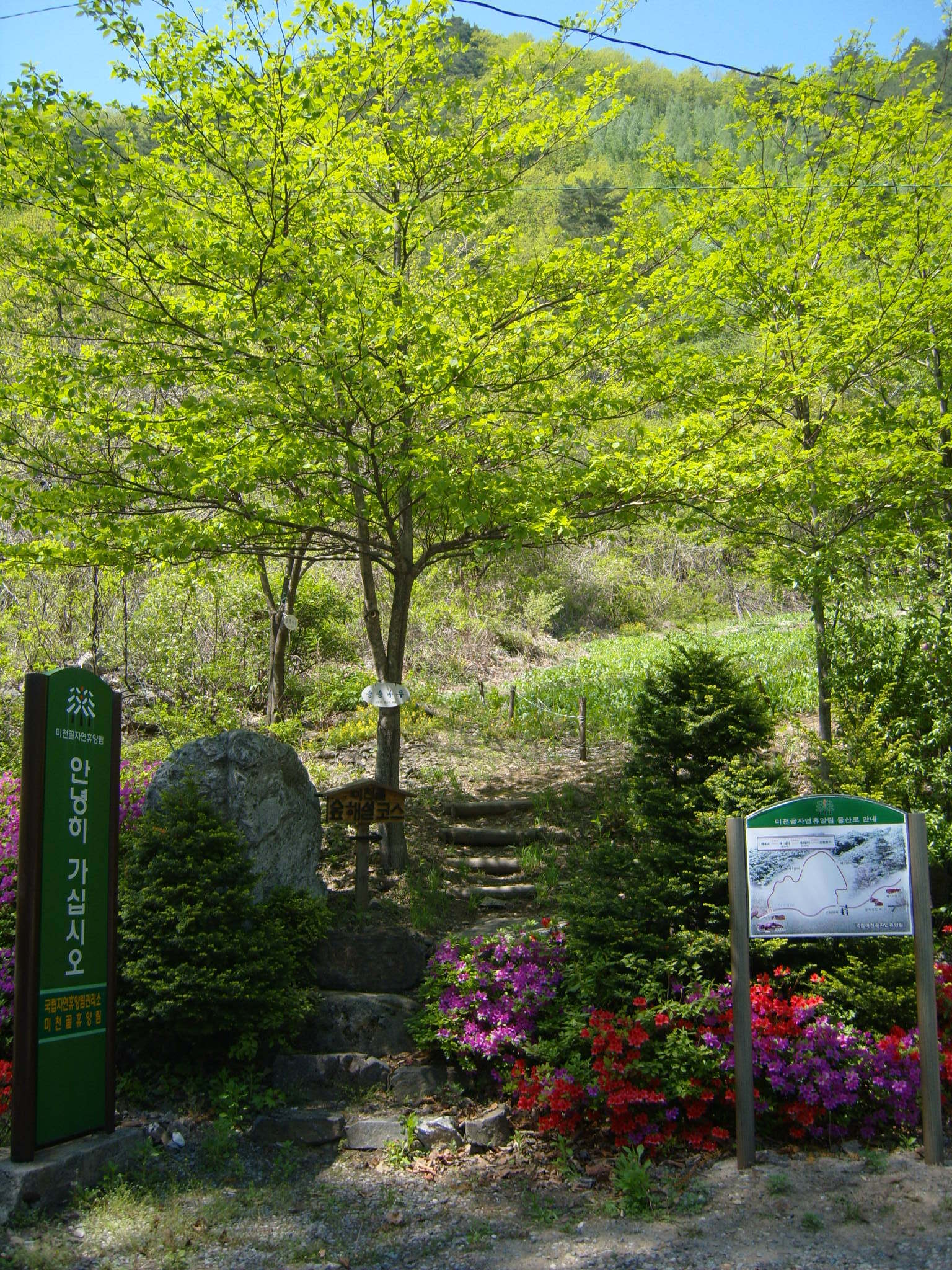 미천골 자연휴양림