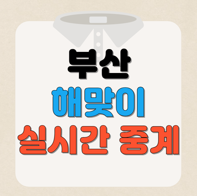 2025 부산 일출 해맞이 실시간 생중계