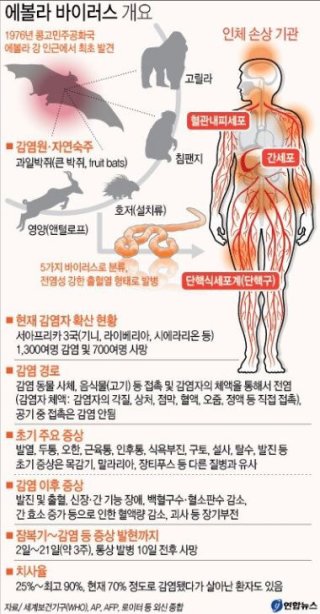 에볼라 바이러스 관련주