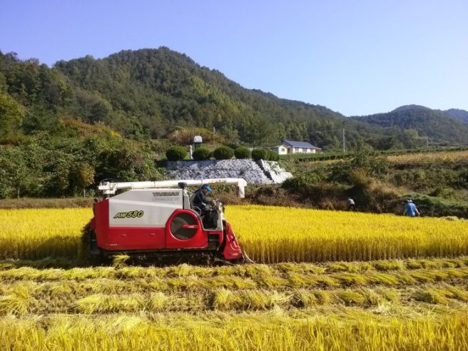 공익직불금 신청
