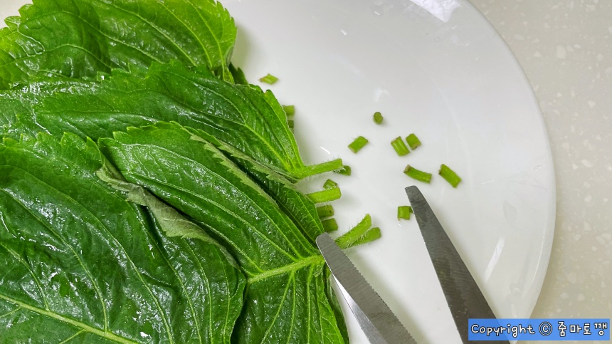 깻잎-줄기-자르기