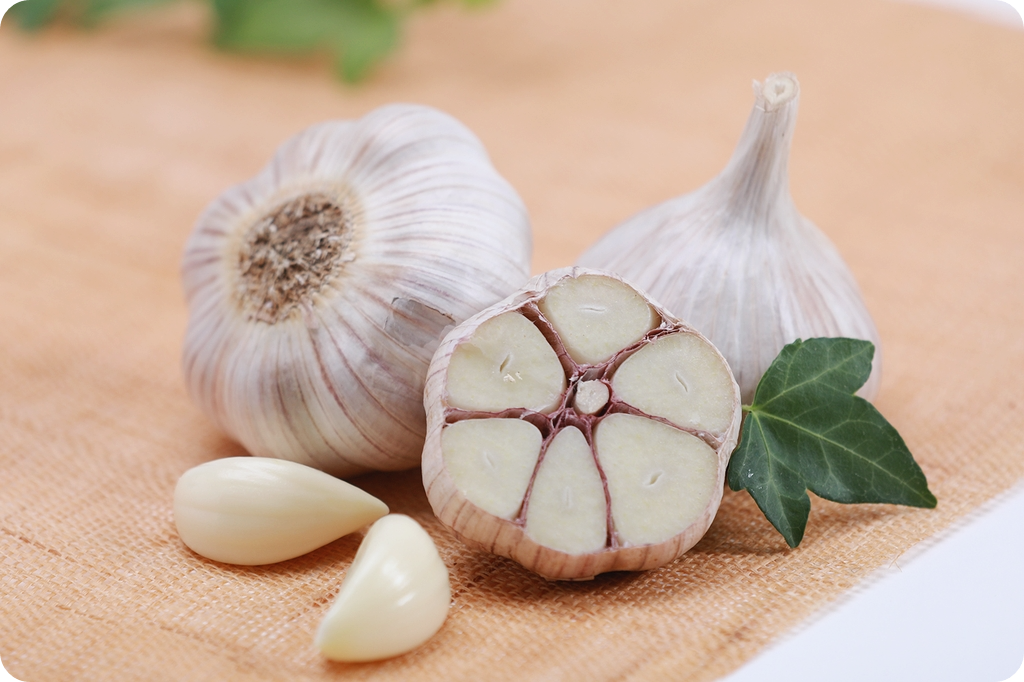 마늘-효능