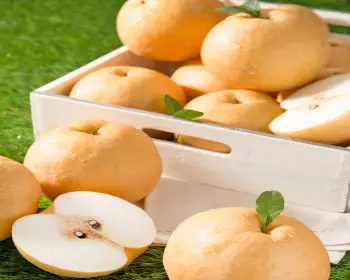 농식품 바우처 신청_6