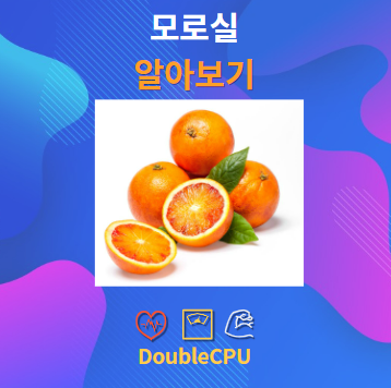 모로실 알아보기