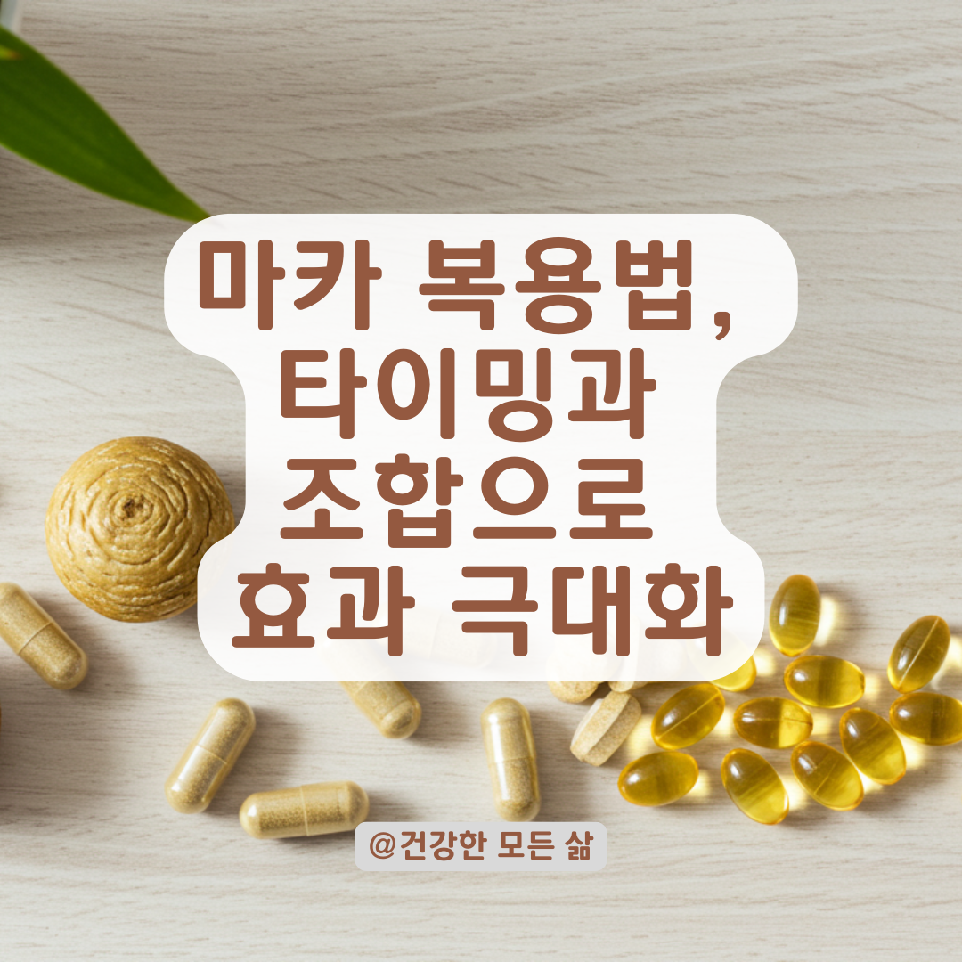 마카 영양제 효과 높이려면 꼭 알아야 할 복용 타이밍과 조합법.