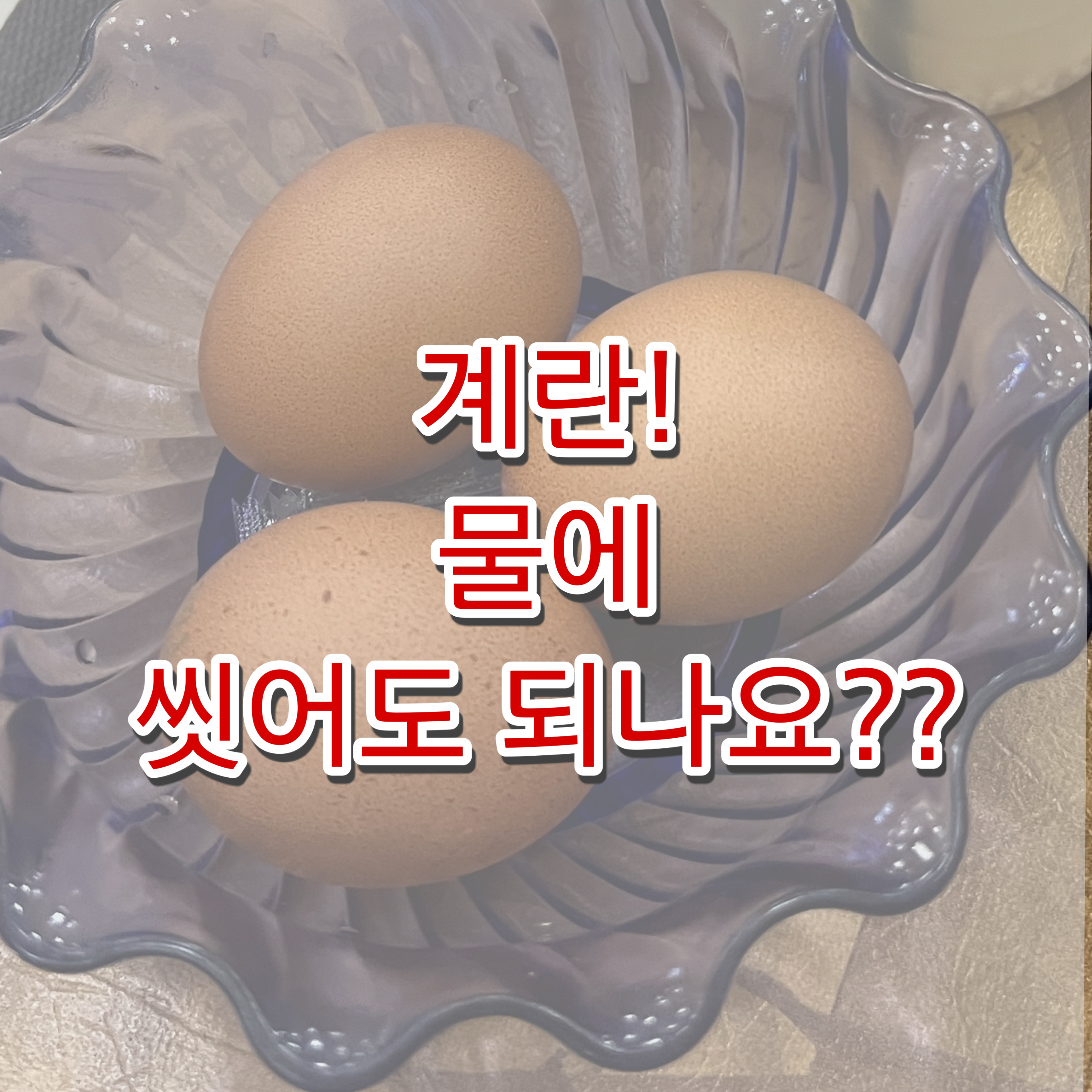 계란 물에 씻어도 되나요?