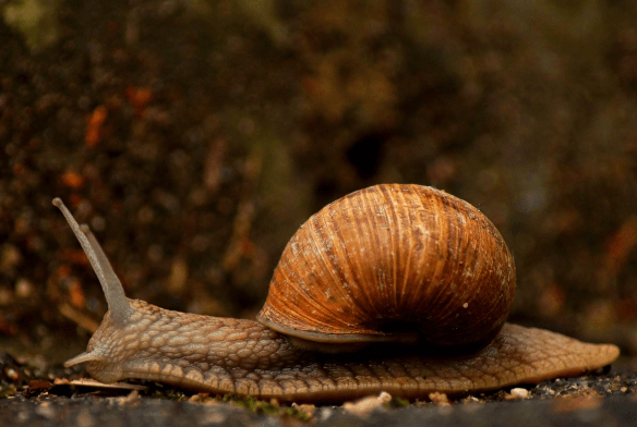 하루 10분의 정적이 만드는 마음의 회복력