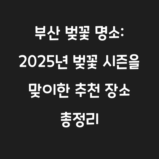 부산 벚꽃 명소: 2025년 벚꽃 시즌을 맞이한 추천 장소 총정리 대표 이미지