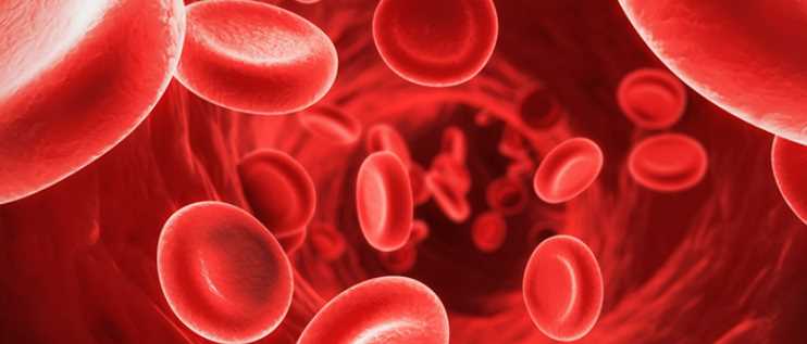 유자차 효능 - 혈관 건강 개선