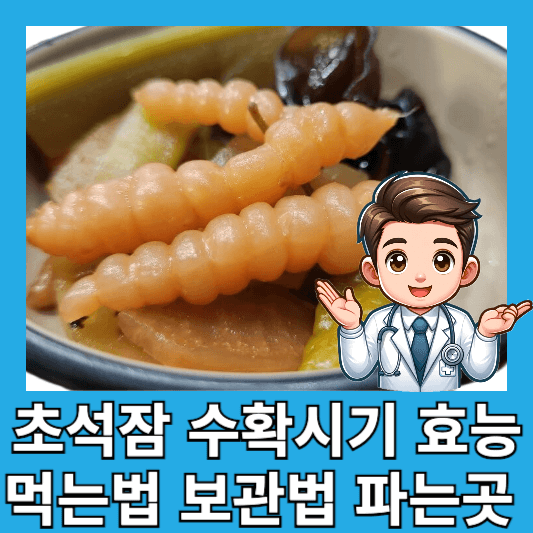 초석잠 수확시기 효능 먹는법 보관법 생초석잠 파는 곳