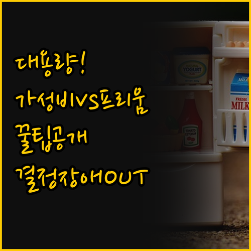 실패 없는 대용량 냉장고 선택법 가성..