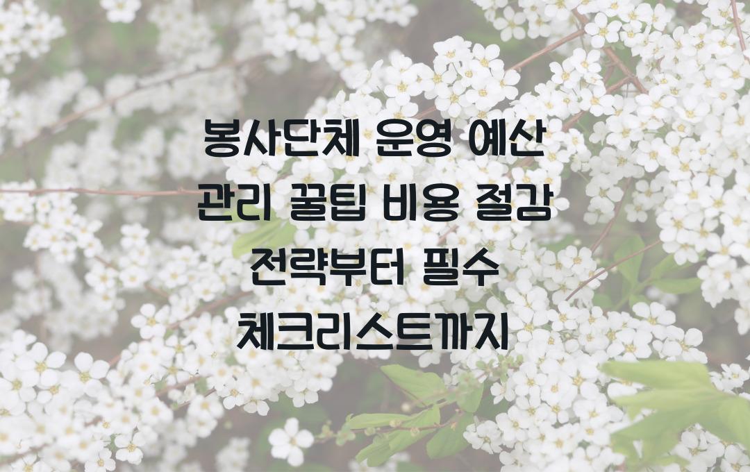 봉사단체 운영 예산 관리 꿀팁