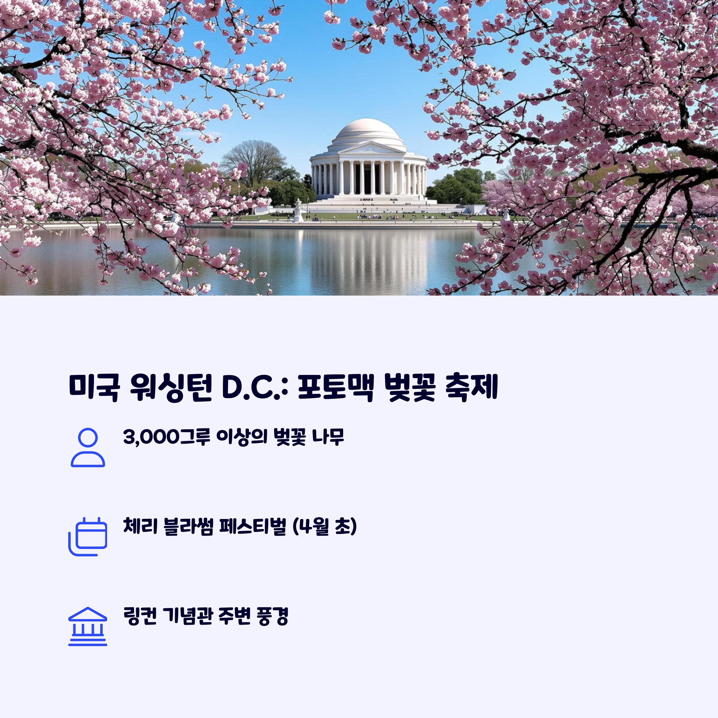 벚꽃축제