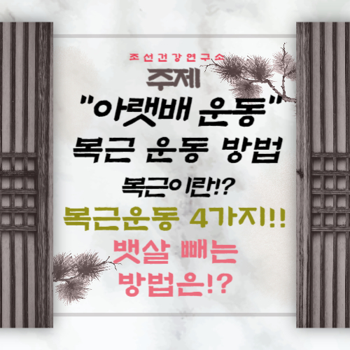 아랫배 빼는 운동 여자 아랫배 복근 운동 뱃살 빼는 방법 알아보기