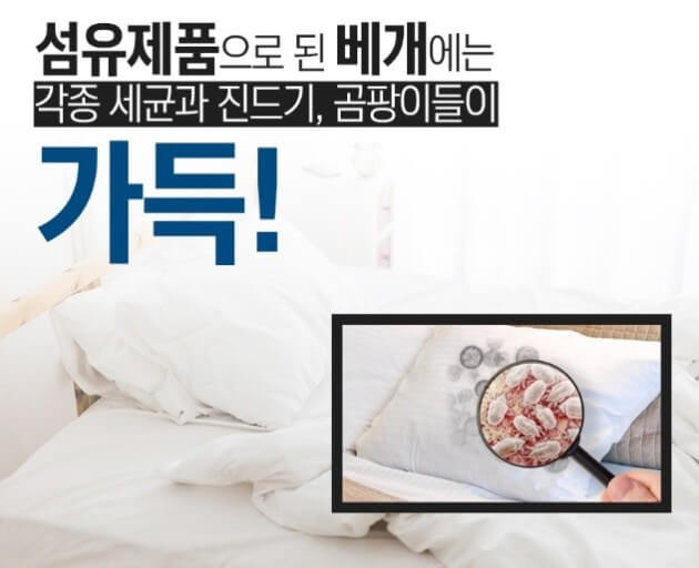 세균의 온상지, 베개